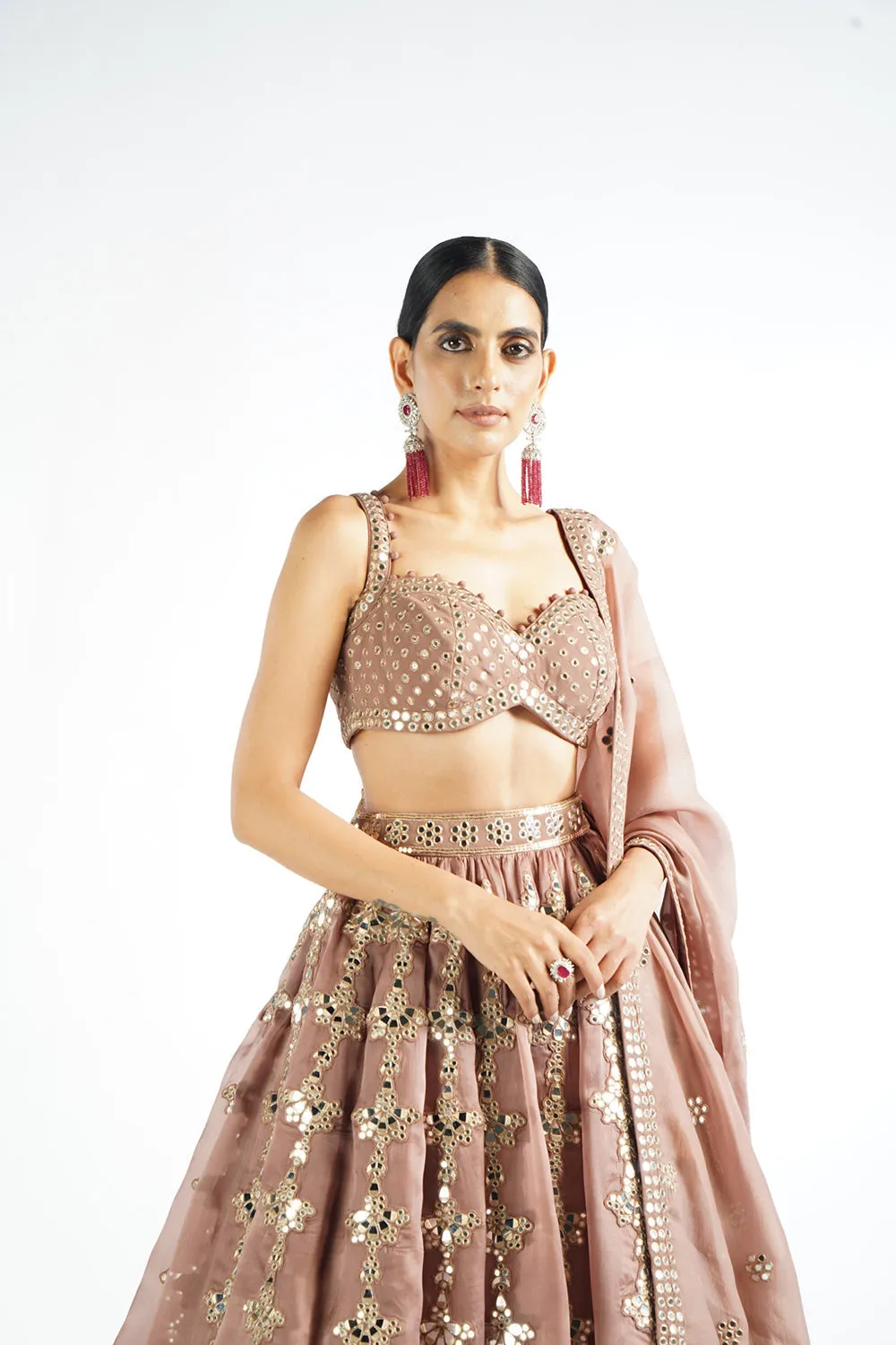 Deep Beige Chandelier Drop Lehenga Set