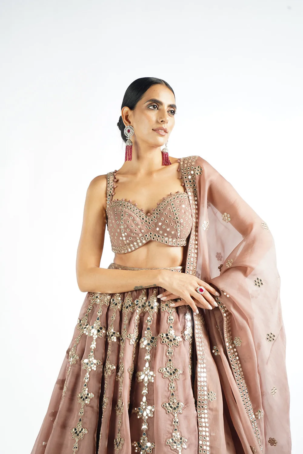 Deep Beige Chandelier Drop Lehenga Set