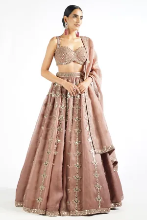 Deep Beige Chandelier Drop Lehenga Set