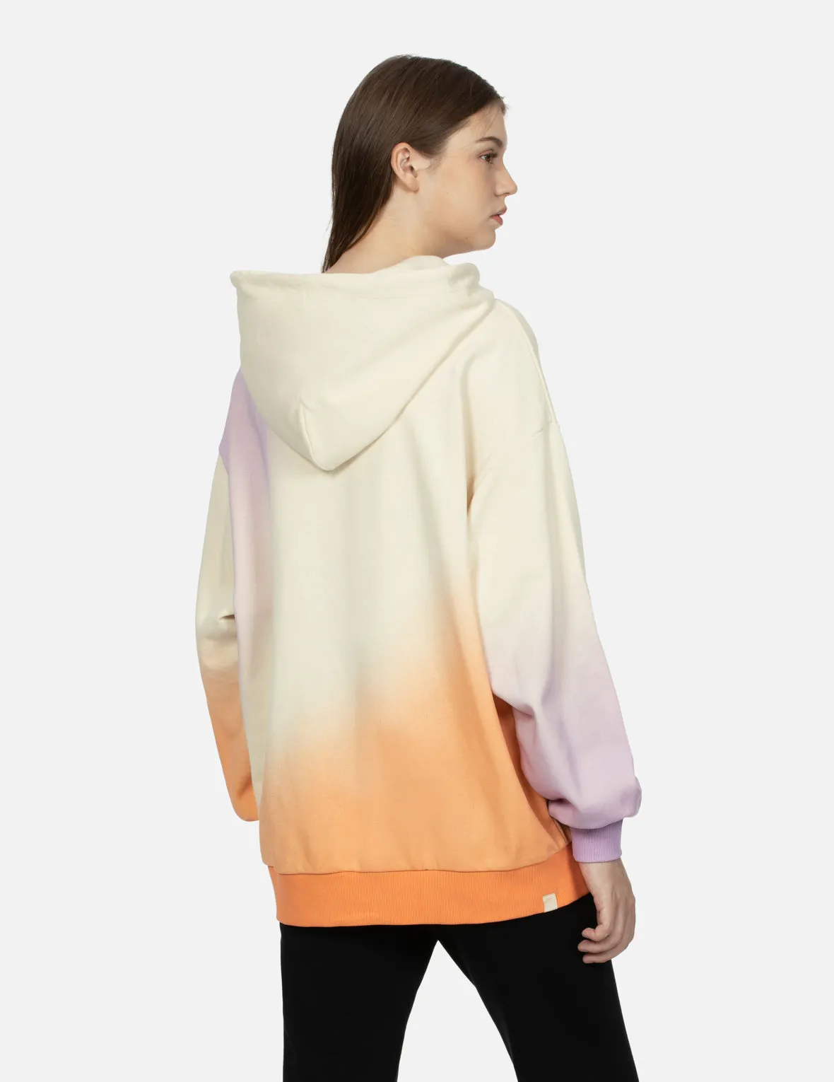 Gradient Flocking Printed Seagull Oversized Hoodie