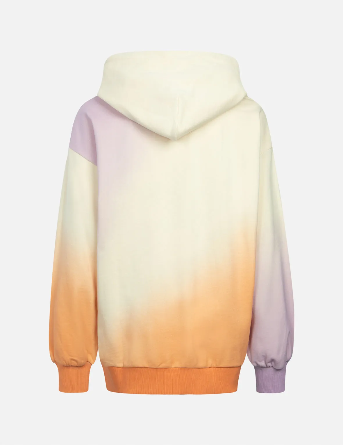 Gradient Flocking Printed Seagull Oversized Hoodie