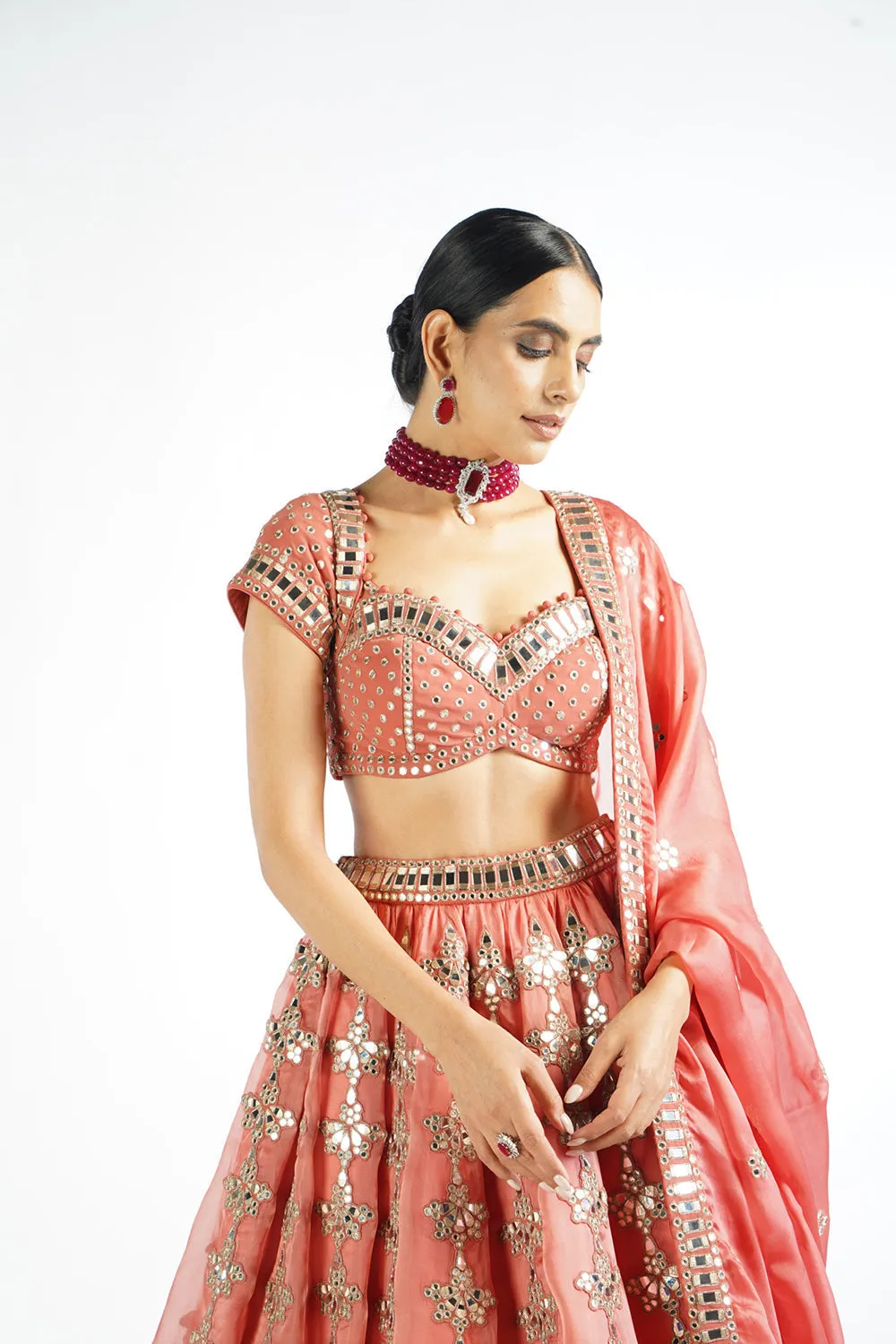 Mellow Rose Chandelier Drop Lehenga Set